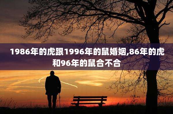 1986年的虎跟1996年的鼠婚姻,86年的虎和96年的鼠合不合