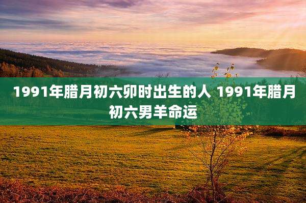 1991年腊月初六卯时出生的人 1991年腊月初六男羊命运