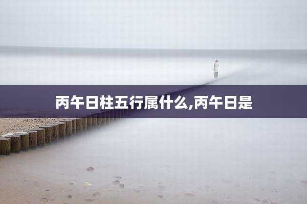 丙午日柱五行属什么,丙午日是