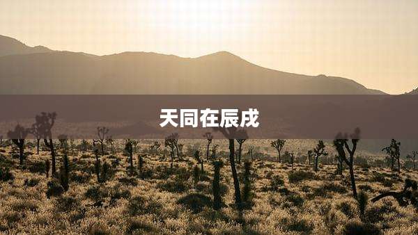 天同在辰戌