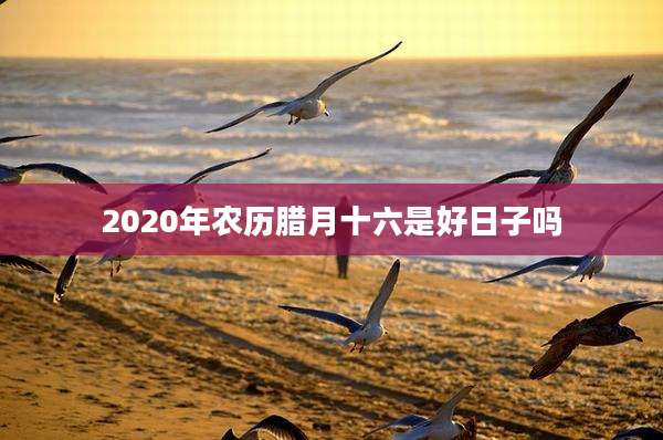 2020年农历腊月十六是好日子吗
