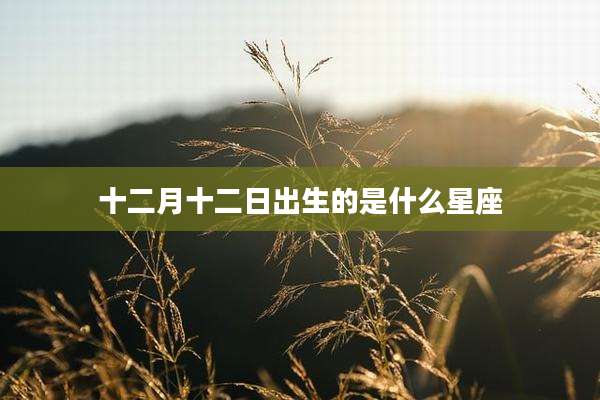 十二月十二日出生的是什么星座