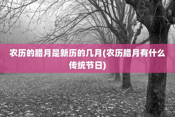 农历的腊月是新历的几月(农历腊月有什么传统节日)