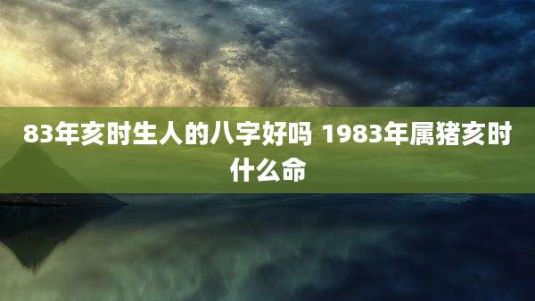 83年亥时生人的八字好吗 1983年属猪亥时什么命