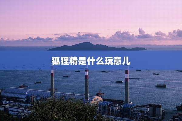 狐狸精是什么玩意儿