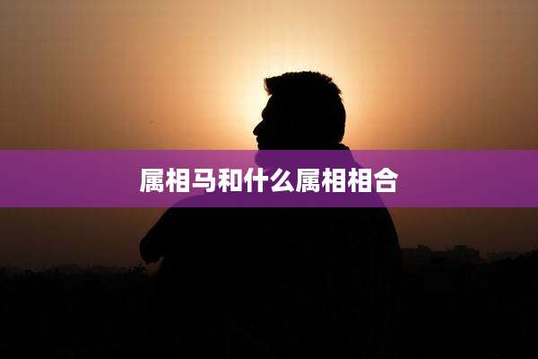 属相马和什么属相相合