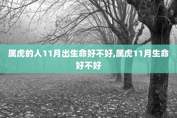 属虎的人11月出生命好不好,属虎11月生命好不好