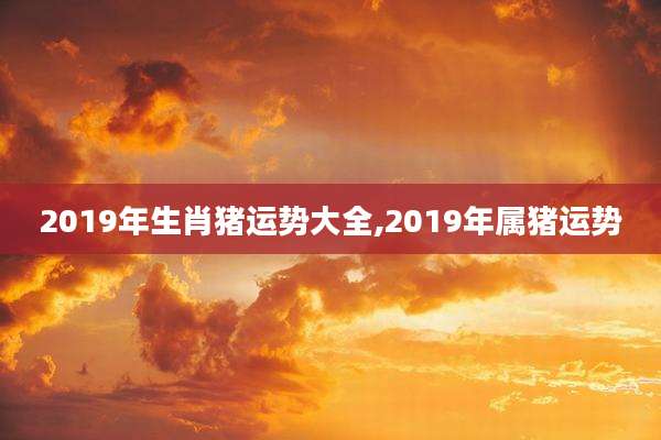 2019年生肖猪运势大全,2019年属猪运势