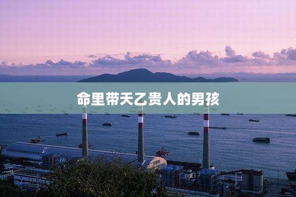 命里带天乙贵人的男孩