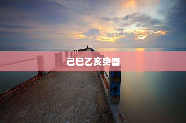 己巳乙亥癸酉