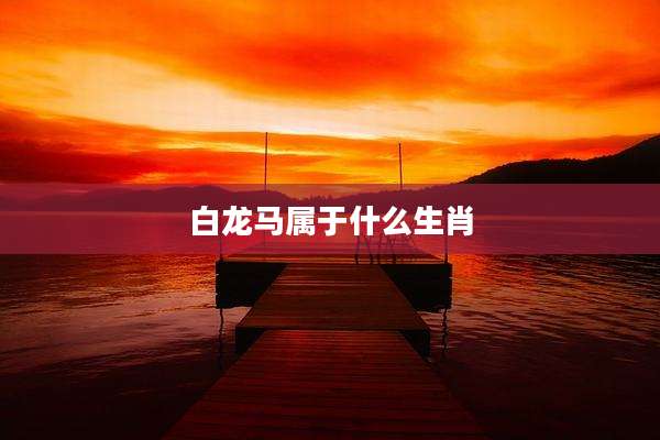 白龙马属于什么生肖