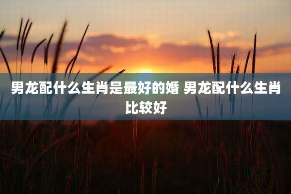 男龙配什么生肖是最好的婚 男龙配什么生肖比较好