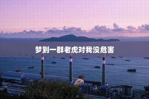 梦到一群老虎对我没危害