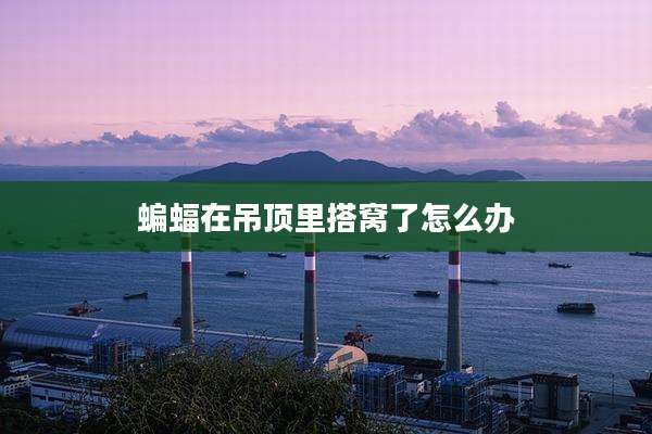 蝙蝠在吊顶里搭窝了怎么办