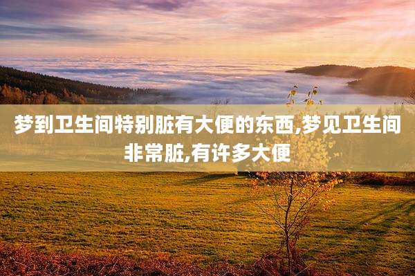 梦到卫生间特别脏有大便的东西,梦见卫生间非常脏,有许多大便