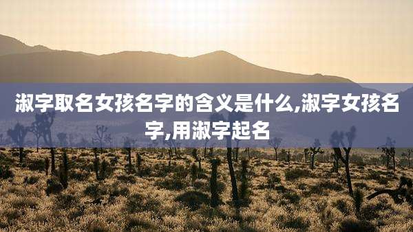 淑字取名女孩名字的含义是什么,淑字女孩名字,用淑字起名