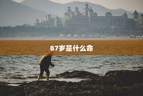 87岁是什么命