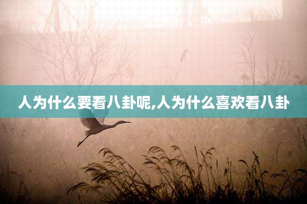 人为什么要看八卦呢,人为什么喜欢看八卦
