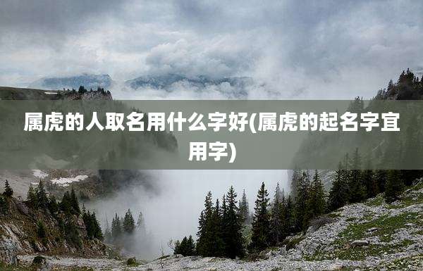 属虎的人取名用什么字好(属虎的起名字宜用字)