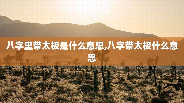 八字里带太极是什么意思,八字带太极什么意思