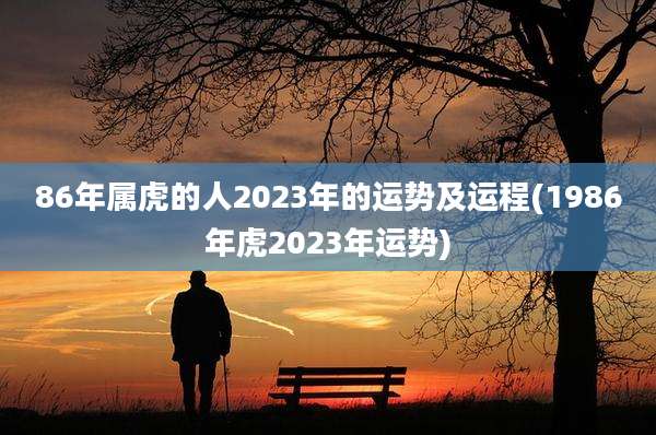 86年属虎的人2023年的运势及运程(1986年虎2023年运势)