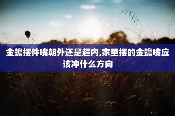金蟾摆件嘴朝外还是超内,家里摆的金蟾嘴应该冲什么方向