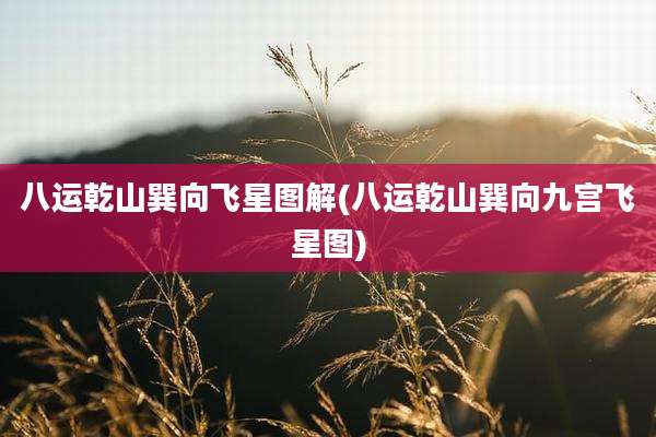 八运乾山巽向飞星图解(八运乾山巽向九宫飞星图)