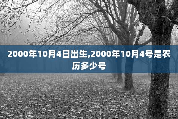 2000年10月4日出生,2000年10月4号是农历多少号
