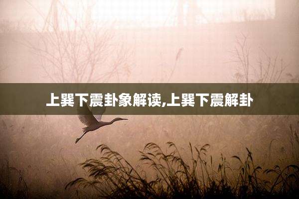 上巽下震卦象解读,上巽下震解卦