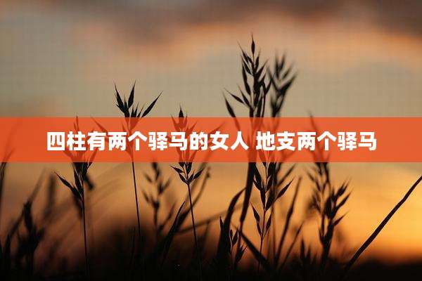 四柱有两个驿马的女人 地支两个驿马