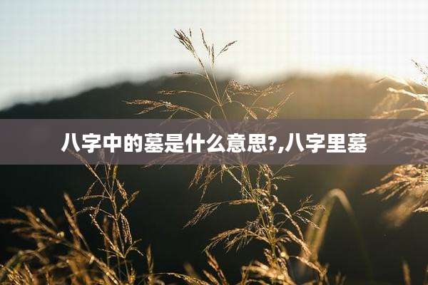 八字中的墓是什么意思?,八字里墓