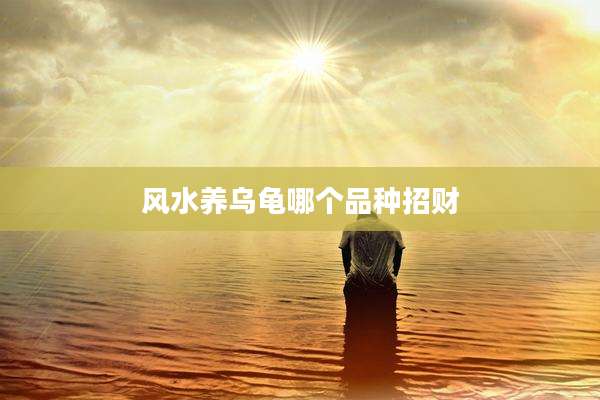 风水养乌龟哪个品种招财