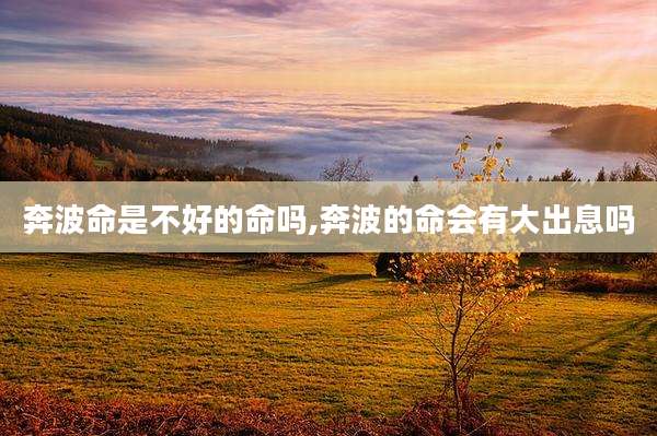 奔波命是不好的命吗,奔波的命会有大出息吗