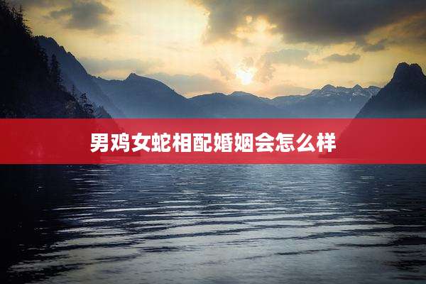 男鸡女蛇相配婚姻会怎么样