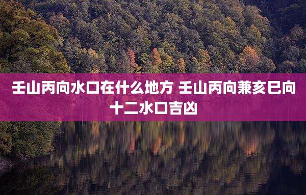 壬山丙向水口在什么地方 壬山丙向兼亥巳向十二水口吉凶