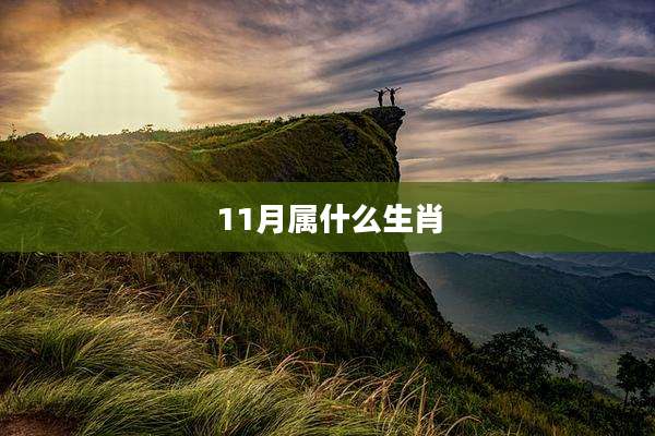 11月属什么生肖