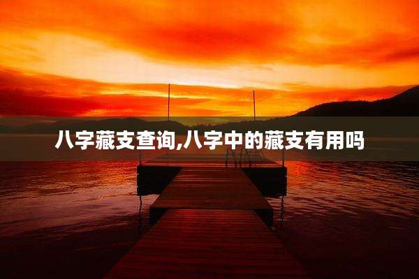 八字藏支查询,八字中的藏支有用吗