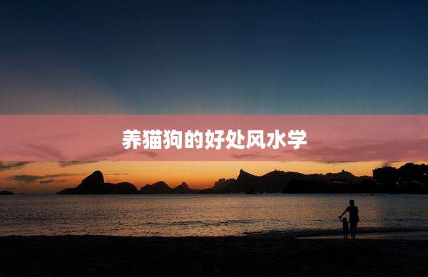 养猫狗的好处风水学