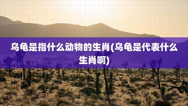 乌龟是指什么动物的生肖(乌龟是代表什么生肖啊)