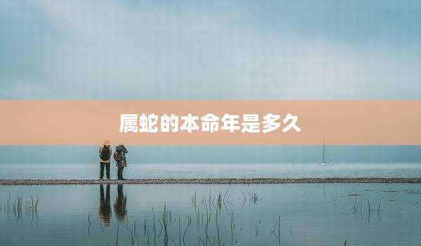 属蛇的本命年是多久