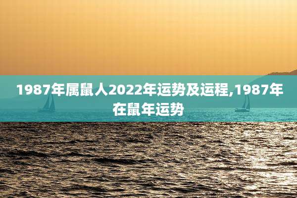 1987年属鼠人2022年运势及运程,1987年在鼠年运势