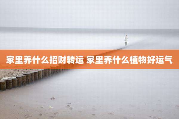 家里养什么招财转运 家里养什么植物好运气