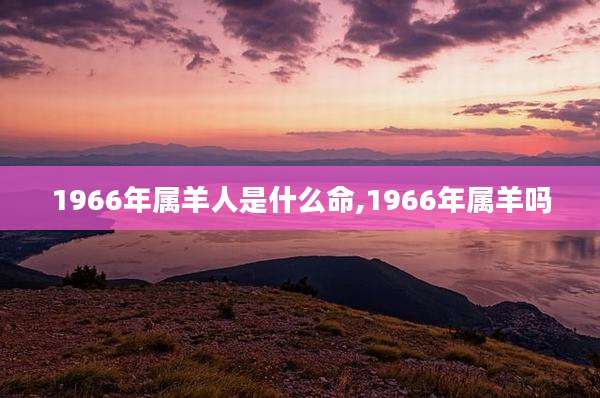 1966年属羊人是什么命,1966年属羊吗