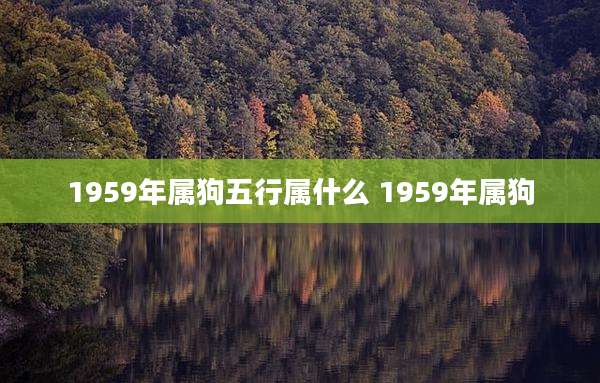 1959年属狗五行属什么 1959年属狗