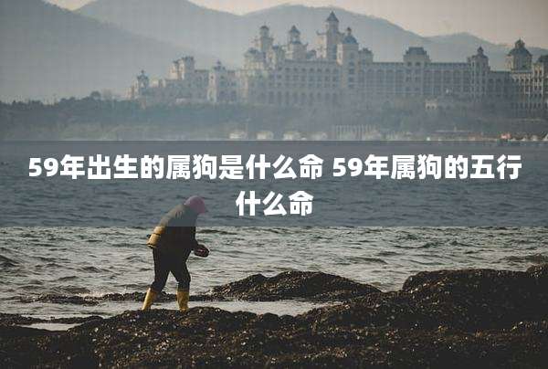 59年出生的属狗是什么命 59年属狗的五行什么命