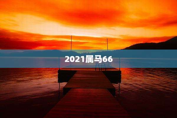 2021属马66