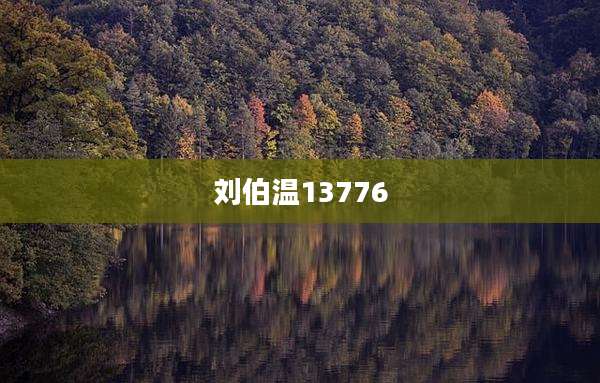 刘伯温13776