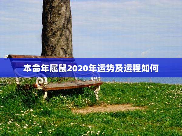 本命年属鼠2020年运势及运程如何