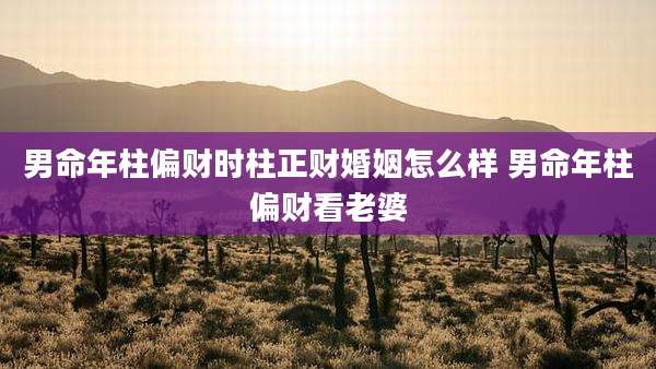 男命年柱偏财时柱正财婚姻怎么样 男命年柱偏财看老婆
