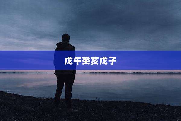 戊午癸亥戊子